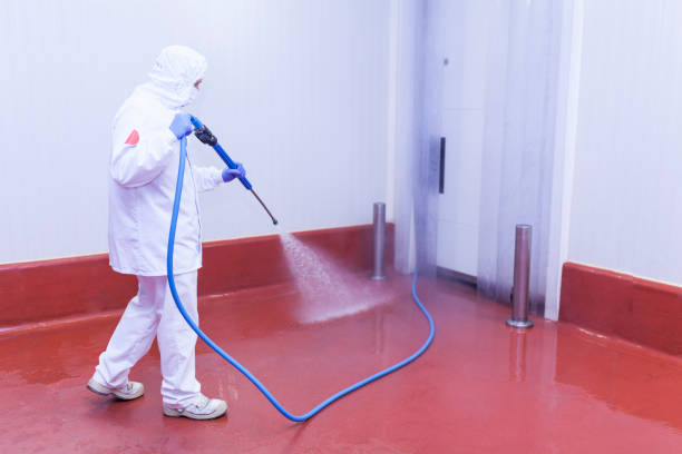 Best Playground Equipment Cleaning  in San Carlos Park, FL