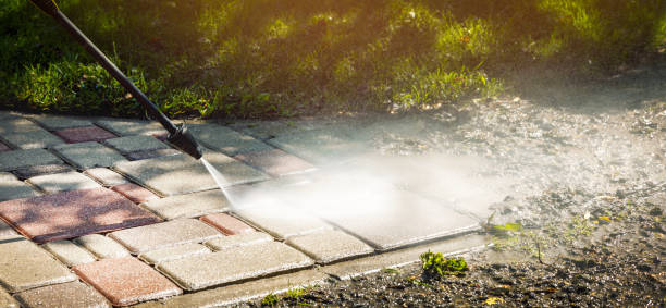 Best Animal Enclosure Cleaning  in San Carlos Park, FL