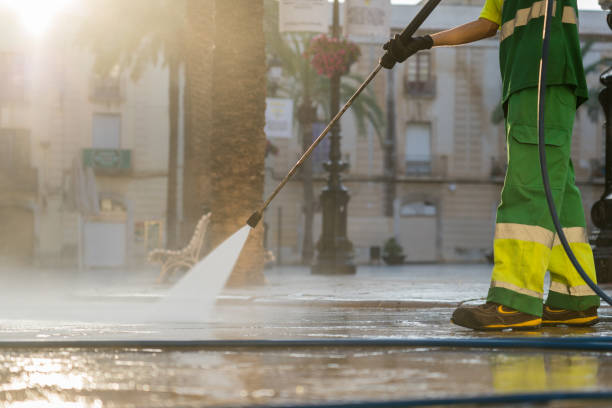 Best Residential Exterior Washing  in San Carlos Park, FL